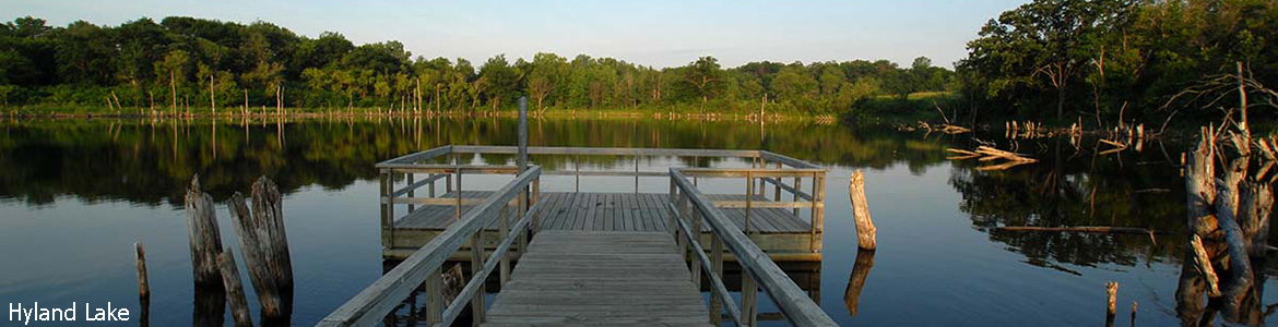 Williamsburg Village HOA