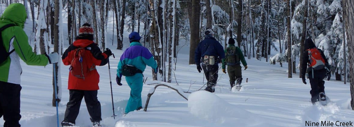 Williamsburg Village HOA