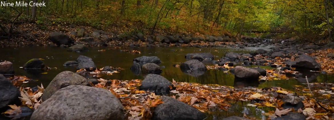 Williamsburg Village HOA