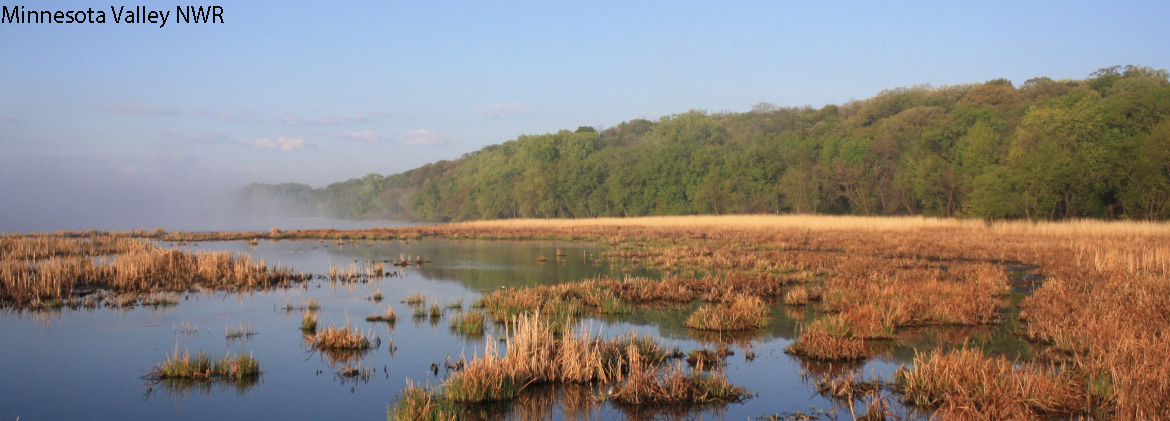 Williamsburg Village HOA