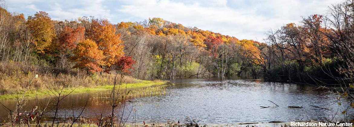 Williamsburg Village HOA