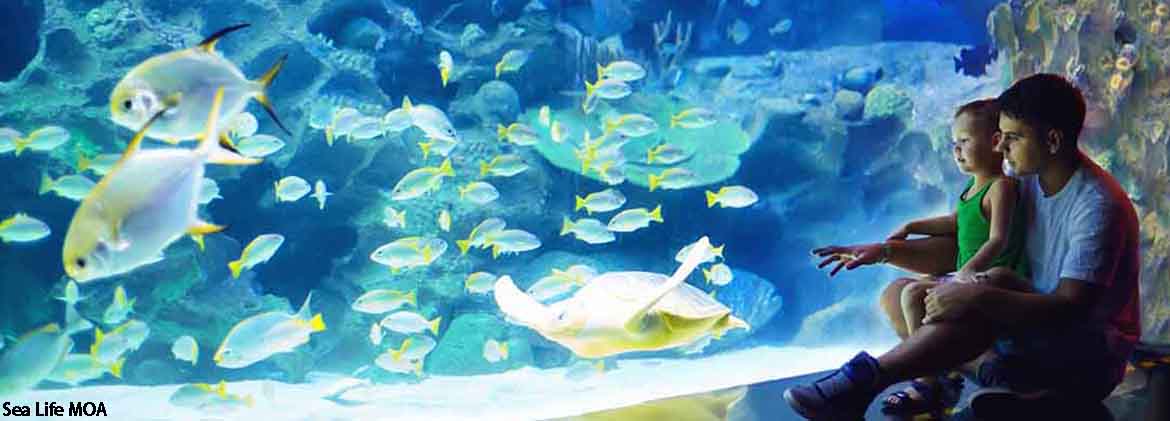 Williamsburg Village HOA